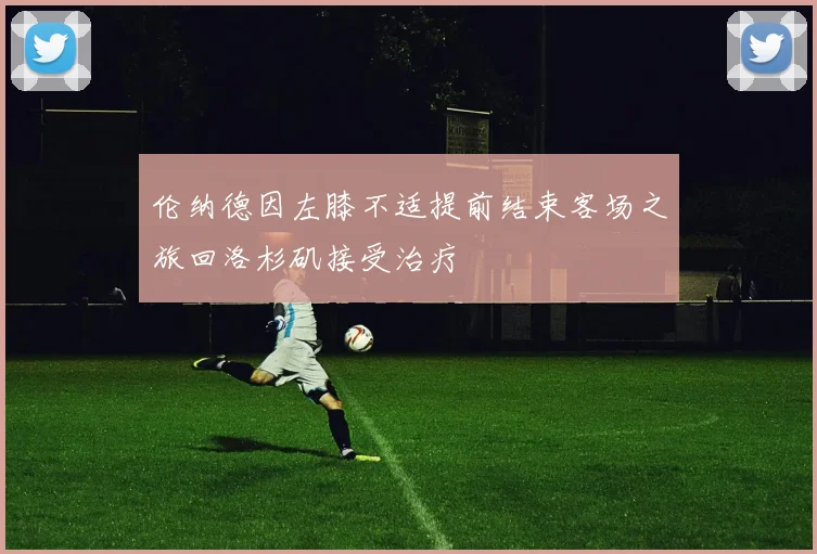 伦纳德因左膝不适提前结束客场之旅回洛杉矶接受治疗